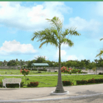 Floricultura Cemitério Parque das Acácias Itatiba – SP