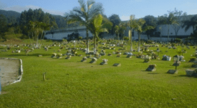 Floricultura Cemitério Parque Crisântemos Itajaí – SC