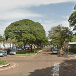 Floricultura Cemitério Parque de Dourados – MS