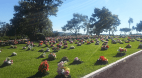 Floricultura Cemitério Parque Jardim do Eden Chapecó – SC