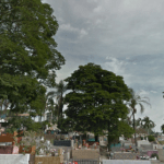 Floricultura Cemitério da Irmandade do Santíssimo Sacramento Itatiba – SP