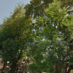 Cemitério Parque Recanto de Paz Várzea Grande