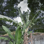 Cemitério Municipal de Queimados