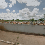 Floricultura Cemitério do município de Senador Canedo – GO