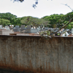 Floricultura Cemitério Municipal de Umuarama – PR