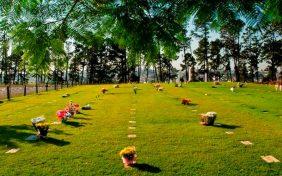 Floricultura Cemitério Parque I em Belém do Pará