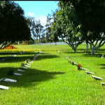 Floricultura próxima ao Cemitério e Crematório Jardim Metropolitano Valparaíso de Goiás – GO