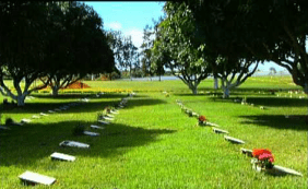 Floricultura próxima ao Cemitério e Crematório Jardim Metropolitano Valparaíso de Goiás – GO