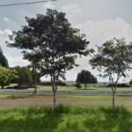 Floricultura Cemitério Parque das Palmeiras Paulínia – SP