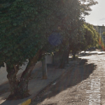 Floricultura Cemitério Municipal de Regente Feijó – SP