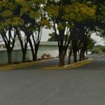 Cemitério Municipal Sales Oliveira