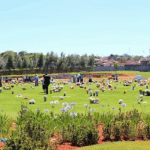 Floricultura Cemitério Memorial Jardim do Redentor de São José do Rio Pardo – SP