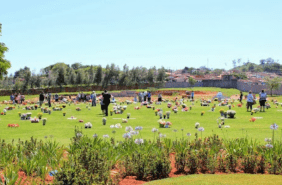 Floricultura Cemitério Memorial Jardim do Redentor de São José do Rio Pardo – SP