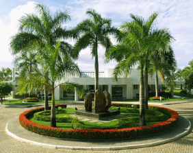 Floricultura Cemitério Parque Colina da Saudade Aracaju – SE