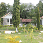 Floricultura Cemitério Municipal De Sarapuí – SP