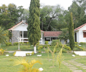 Floricultura Cemitério Municipal De Sarapuí – SP