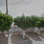 Floricultura Cemitério Municipal de Pedrinhas – SE