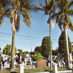 Floricultura Cemitério Jd. da Serra Bragança Paulista – SP