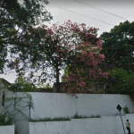 Floricultura Cemitério Municipal de Braúna – SP