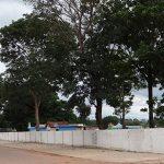 Floricultura Cemitério Municipal de Campo Novo de Rondônia – RO