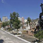 Floricultura Cemitério Municipal de Pimenteiras do Oeste – RO