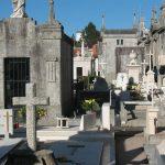 Floricultura Cemitério Municipal de Cantá – RR