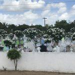 Floricultura Cemitério Municipal de Tapauá – AM