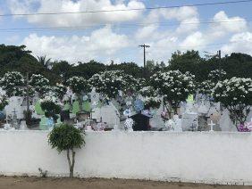 Floricultura Cemitério Municipal de Tapauá – AM