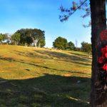 Cemitério da Consolação
