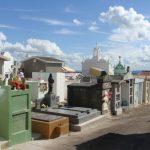 Floricultura Cemitério Municipal de Caçapava