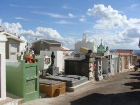 Floricultura Cemitério Municipal de Caçapava