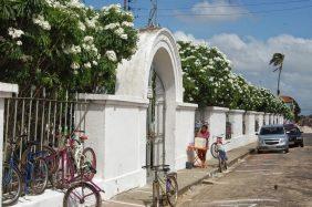 Floricultura Cemitério Municipal de Augusto Corrêa – PA