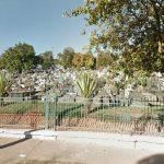 Floricultura Cemitério Municipal de Cametá- PA