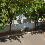 Floricultura Cemitério Municipal de Palestina do Pará – PA