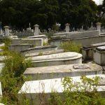 Floricultura Cemitério Municipal de Santa Izabel do Pará – PA