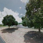 Floricultura Cemitério Municipal Croatá – CE