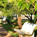 Floricultura Cemitério Colina dos Flamboyants – SP