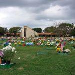 Floricultura Cemitério Parque das Paineiras – Tremembé – SP