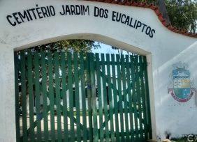 Floricultura Cemitérios jardim Dos Eucaliptos – RJ