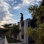 Floricultura Cemitério Municipal de São Sebastião do Alto – RJ