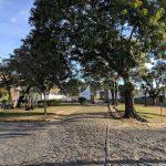 Floricultura Cemitério da Irmandade de N.S. da Conceição de Vassouras – RJ