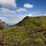 Cemitério Municipal Aiuruoca