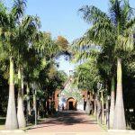 Floricultura Cemitério São José – MG