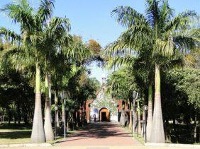 Floricultura Cemitério São José – MG