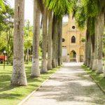 Floricultura Cemitério Municipal de Coroaci – MG