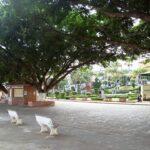 Floricultura Cemitério Municipal De Descoberto – MG