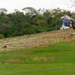 Floricultura Cemitério Municipal de Belo Vale