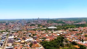 Floricultura Cemitério Municipal de Bom Despacho