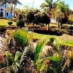 Floricultura Cemitério Municipal de Cristália