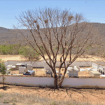 Floricultura Cemitério Municipal de Abaíra/BA